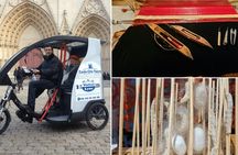 Lyon capital of Silk pedicab tour