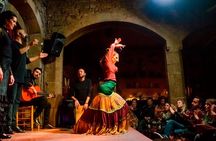 Barcelona old town tour with flamenco show and tapas