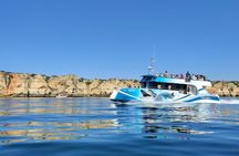 Lagos half-day dolphin-watching cruise