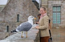 3-Day Excursion in Normandy, Mt Saint-Michel, Loire Valley from Paris