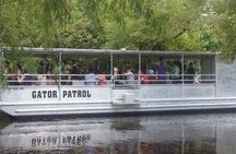 Louisiana's swamp tour
