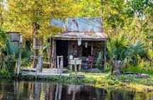 Louisiana's swamp tour