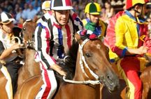 Palio of Siena day trip with dinner and drinks from Florence