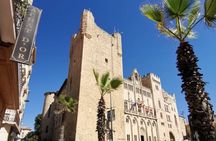 Private guided tour of Narbonne