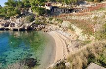 Bol, Jelsa and Vrboska private boat tour from Split