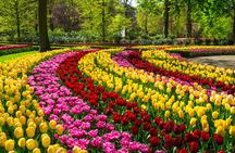 Keukenhof and flower fields bike guided tour