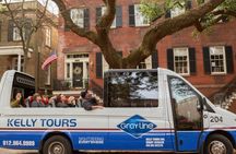 Savannah 360° panoramic tour in open-air minibus