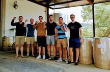 Surf experience with wine tasting guided tour in Lisbon