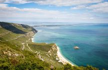 Surf experience with wine tasting guided tour in Lisbon