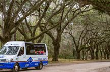 Wormsloe Historic Site and Bonaventure Cemetery Tour
