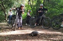 Electric bike guided tour of Athens