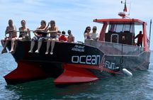 Family Catamaran Tour to Benagil Caves from Portimão