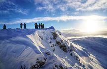 1-hour Reykjavik Peak Mountain Safari ATV Tour