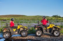 2-hour ATV tour to Twin Peaks