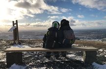 2-hour ATV tour to Twin Peaks