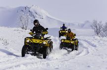 2-hour ATV tour to Twin Peaks