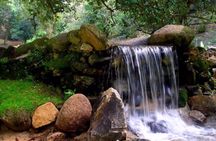 Sintra romantic gardens electric car tour