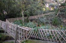 Sintra romantic gardens electric car tour