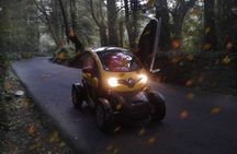 Unforgettable Sintra patrimony nature and romantic gardens electric car tour