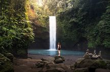 Full-day Ubud highlights tour