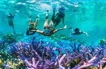 Blue Lagoon snorkeling and Lempuyang temple tour