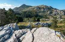 Lovćen national park and Budva city full-day private tour