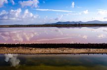 E-bike tour of the saltworks of Sant'Antioco