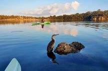 Kayak tour in the Oasis of Biderosa