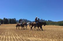 Horseback tour in Montserrat National Park from Barcelona