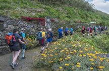 Ribeira Funda with Parish of Maia Hiking Experience