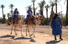 Palmeraie camel ride from Marrakech with tea break