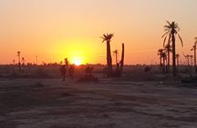 Palmeraie camel ride from Marrakech with tea break