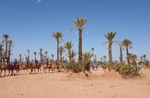 Palmeraie camel ride from Marrakech with tea break
