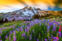Mount Rainier National Park Full-Day Tour from Seattle