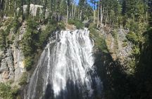 Mount Rainier National Park Full-Day Tour from Seattle