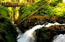 Olympic National Park full-day tour from Seattle