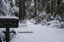 Olympic National Park full-day tour from Seattle