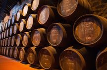 Douro full-day tour
