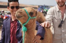 Agafay desert private sunset camel ride from Marrakech