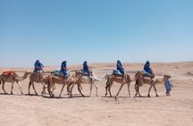 Agafay desert private sunset camel ride from Marrakech