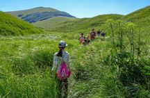 Peaceful 4-hour guided hiking tour around Norcia