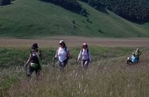 Peaceful 4-hour guided hiking tour around Norcia