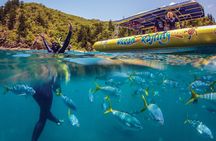 Airlie Beach fly and raft Southern Lights package