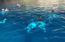 Half-day private tour exploring Boka Bay