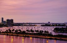 Scenic Miami night tour with Skyview Miami Wheel tickets