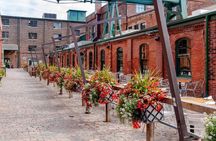 Scenic Toronto Night Tour