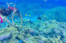 Bora Bora lagoon full-day cruise with barbeque lunch