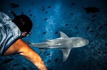Bora Bora lagoon full-day cruise with barbeque lunch