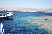 Half-day snorkeling boat trip in Sharm El Sheikh with lunch and drinks