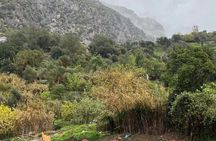 Chefchaouen blue city day trip from Fez